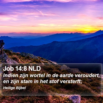 Job 14:8 NLD Bible Verse Image