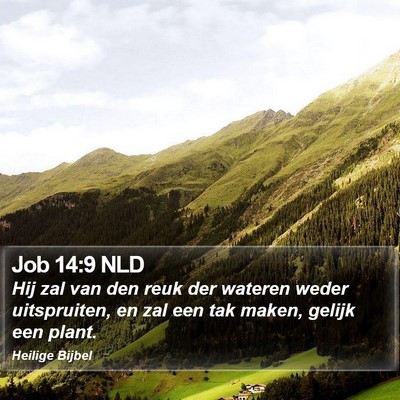 Job 14:9 NLD Bible Verse Image