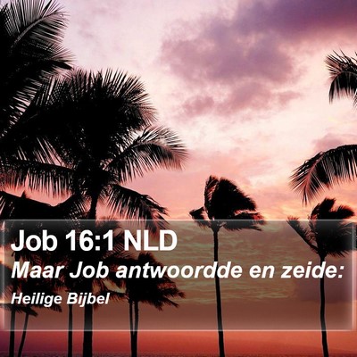 Job 16:1 NLD Bible Verse Image