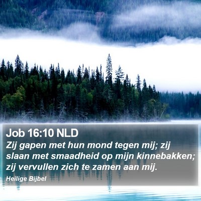 Job 16:10 NLD Bible Verse Image