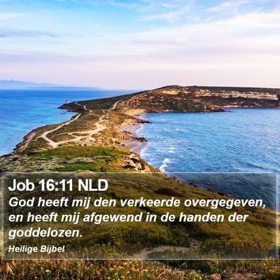 Job 16:11 NLD Bible Verse Image
