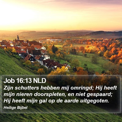 Job 16:13 NLD Bible Verse Image