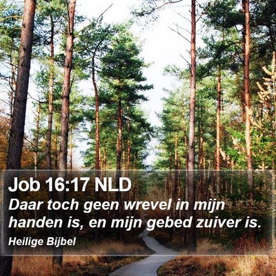 Job 16:17 NLD Bible Verse Image