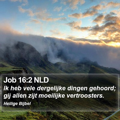 Job 16:2 NLD Bible Verse Image
