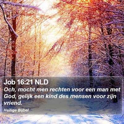 Job 16:21 NLD Bible Verse Image