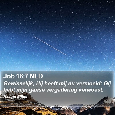 Job 16:7 NLD Bible Verse Image