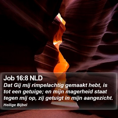 Job 16:8 NLD Bible Verse Image