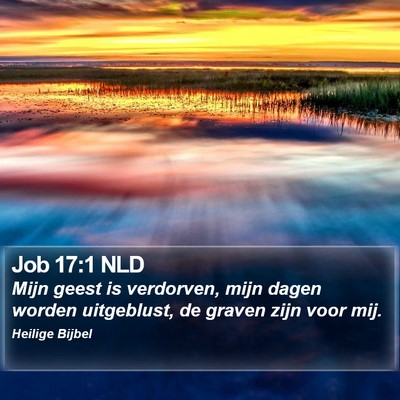 Job 17:1 NLD Bible Verse Image