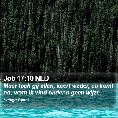 Job 17:10 NLD Bible Verse Image