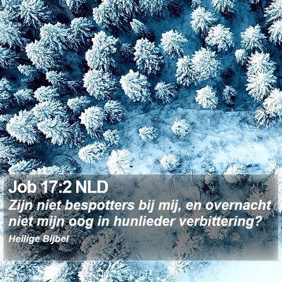 Job 17:2 NLD Bible Verse Image