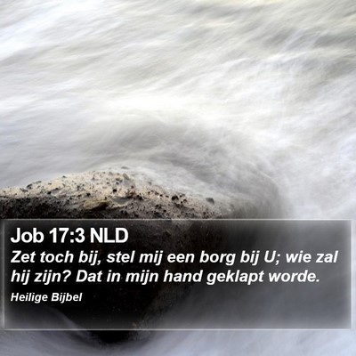 Job 17:3 NLD Bible Verse Image