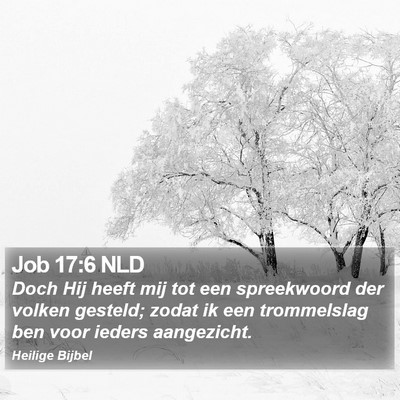 Job 17:6 NLD Bible Verse Image