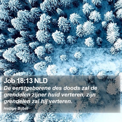 Job 18:13 NLD Bible Verse Image
