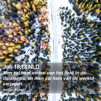 Job 18:18 NLD Bible Verse Image