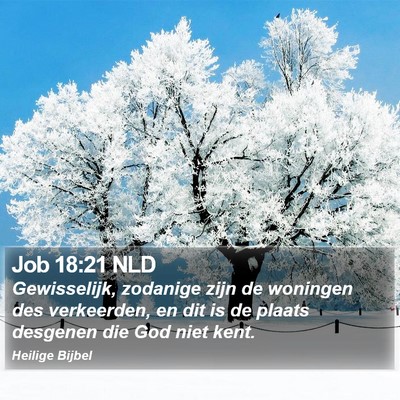 Job 18:21 NLD Bible Verse Image