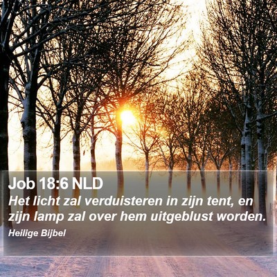 Job 18:6 NLD Bible Verse Image