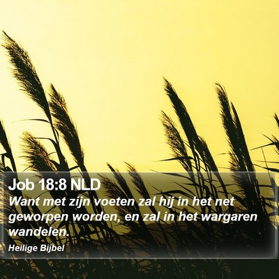 Job 18:8 NLD Bible Verse Image