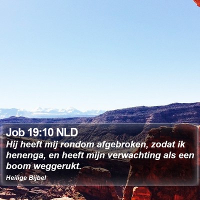 Job 19:10 NLD Bible Verse Image