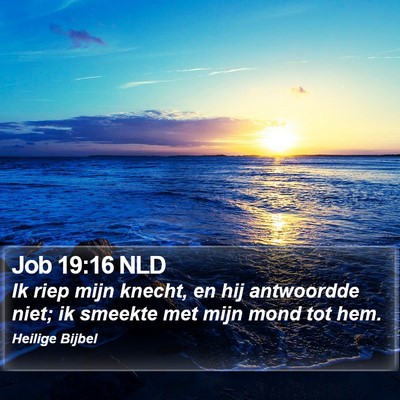 Job 19:16 NLD Bible Verse Image