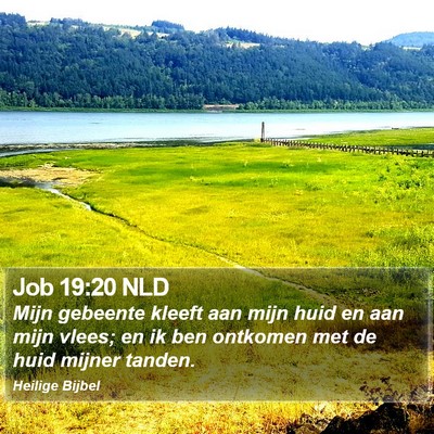 Job 19:20 NLD Bible Verse Image