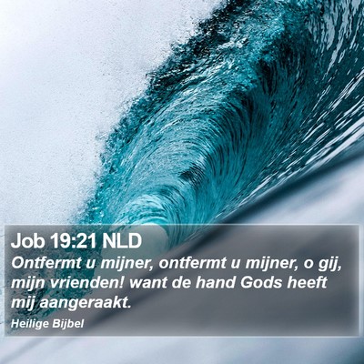 Job 19:21 NLD Bible Verse Image