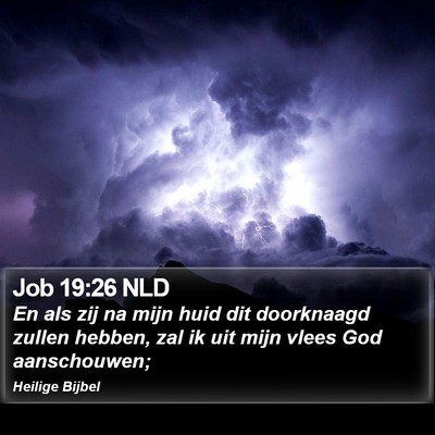 Job 19:26 NLD Bible Verse Image