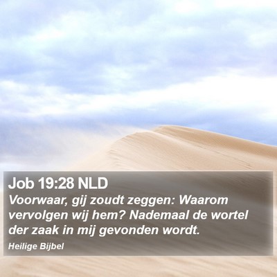 Job 19:28 NLD Bible Verse Image