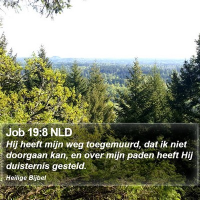 Job 19:8 NLD Bible Verse Image