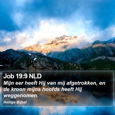 Job 19:9 NLD Bible Verse Image