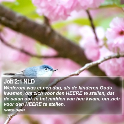 Job 2:1 NLD Bible Verse Image