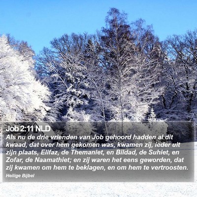 Job 2:11 NLD Bible Verse Image