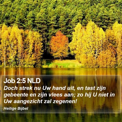 Job 2:5 NLD Bible Verse Image