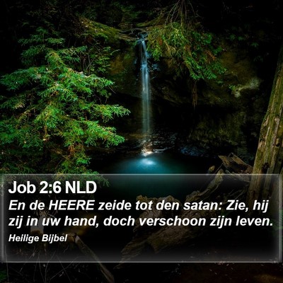 Job 2:6 NLD Bible Verse Image