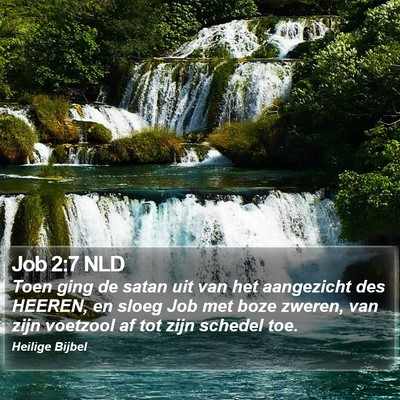 Job 2:7 NLD Bible Verse Image