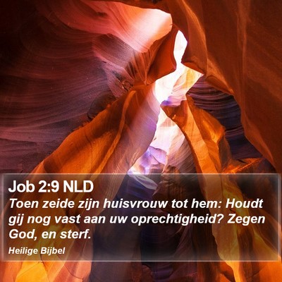 Job 2:9 NLD Bible Verse Image