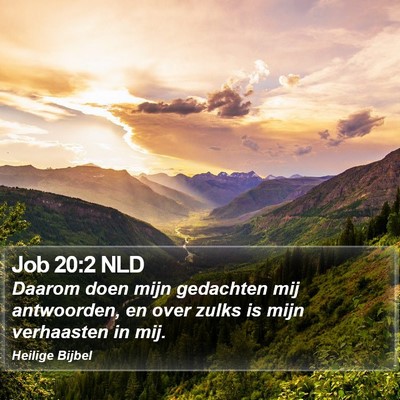 Job 20:2 NLD Bible Verse Image