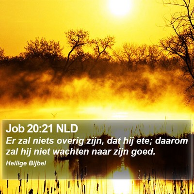 Job 20:21 NLD Bible Verse Image