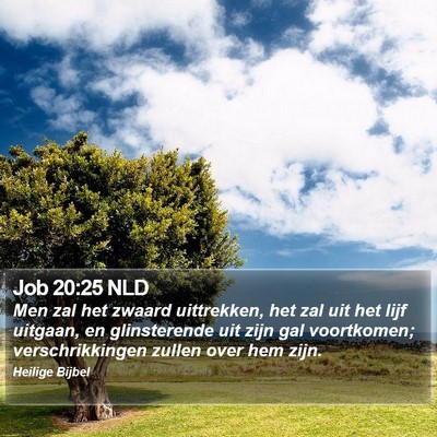 Job 20:25 NLD Bible Verse Image