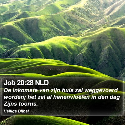 Job 20:28 NLD Bible Verse Image