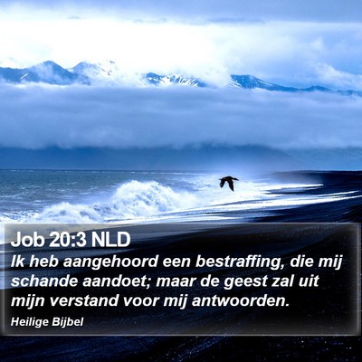 Job 20:3 NLD Bible Verse Image