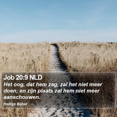 Job 20:9 NLD Bible Verse Image