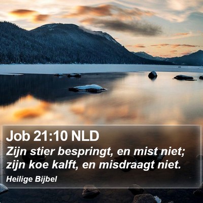 Job 21:10 NLD Bible Verse Image