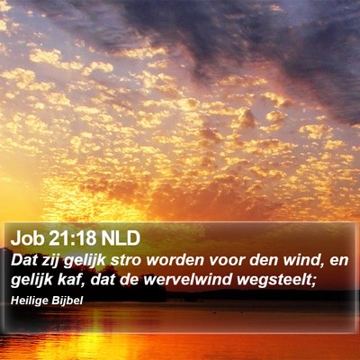 Job 21:18 NLD Bible Verse Image