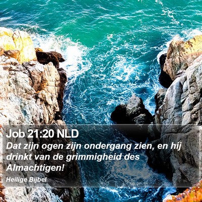 Job 21:20 NLD Bible Verse Image