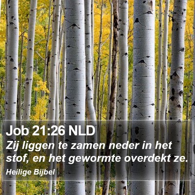Job 21:26 NLD Bible Verse Image