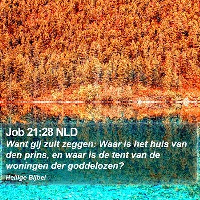 Job 21:28 NLD Bible Verse Image