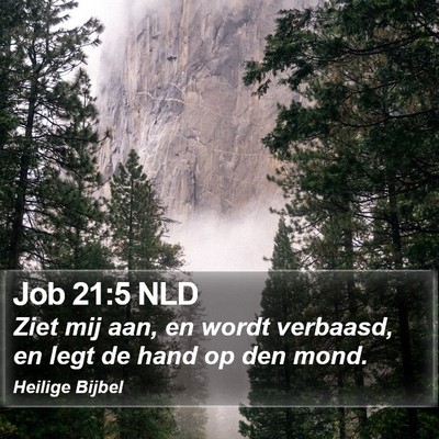 Job 21:5 NLD Bible Verse Image