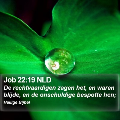 Job 22:19 NLD Bible Verse Image