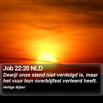 Job 22:20 NLD Bible Verse Image