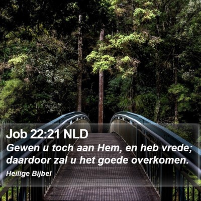 Job 22:21 NLD Bible Verse Image